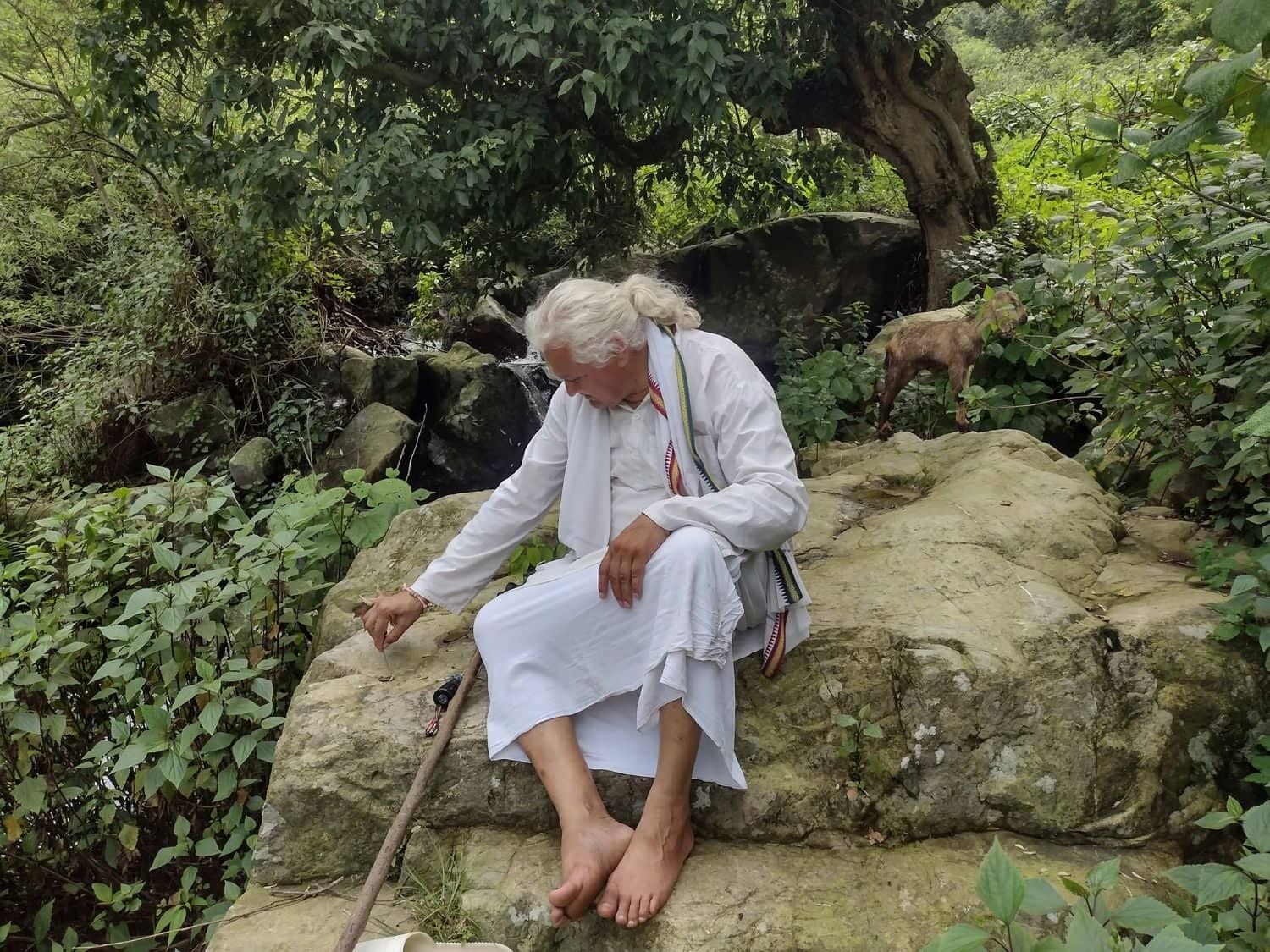 Manoj Dhyani seated barefoot on a rock beside a forest stream, a goat grazing behind him